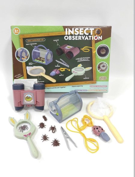Insect observation