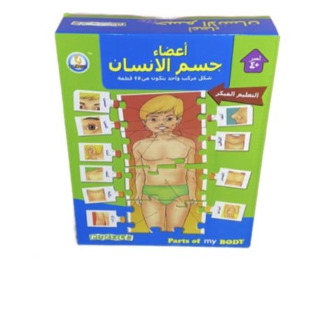 اعضاء جسم الانسان